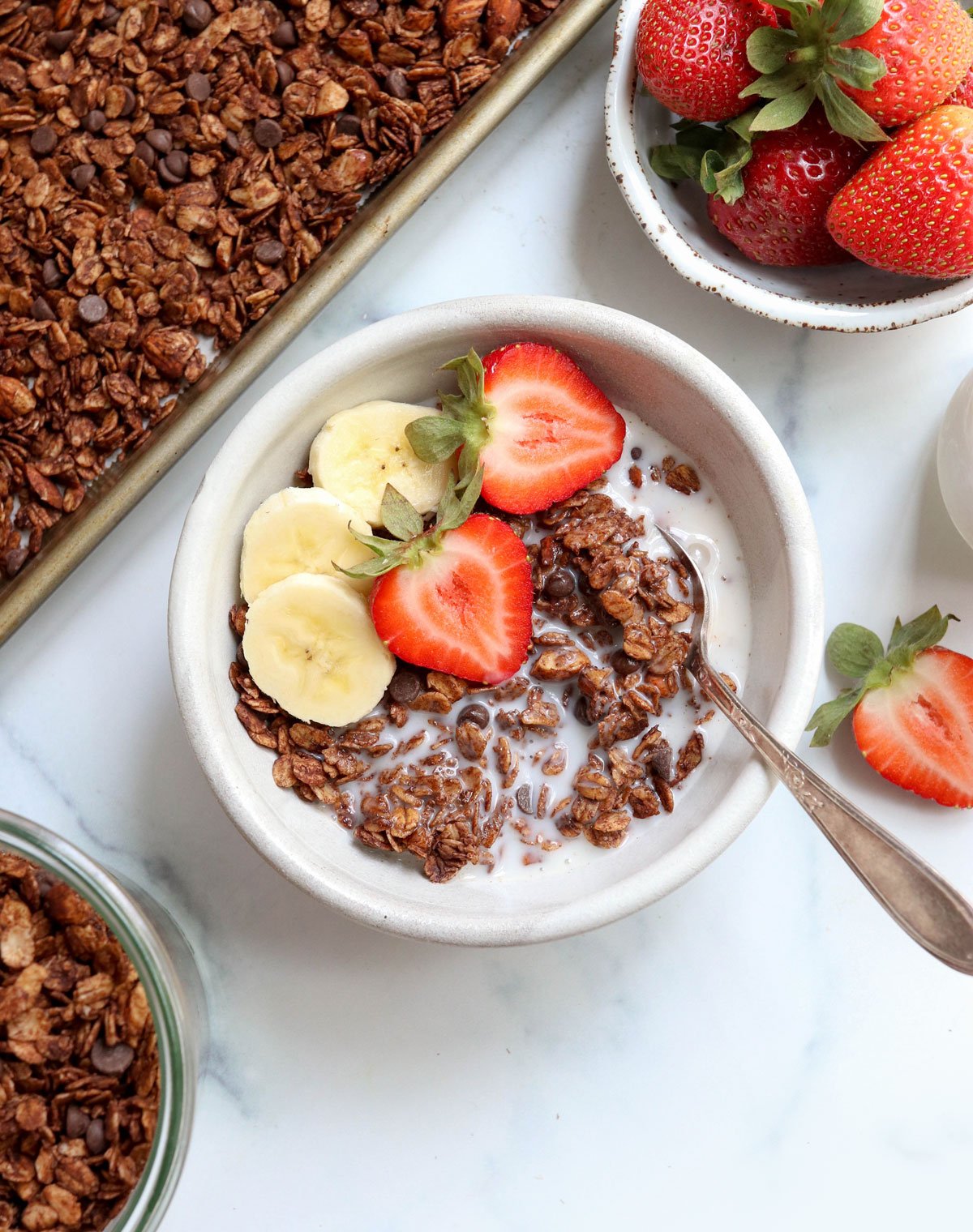 chocolate granola in bowl with fruit