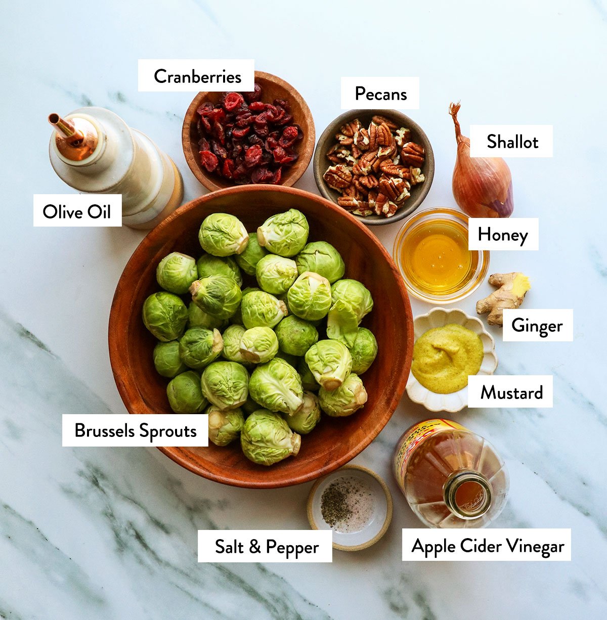 bowl of brussel sprouts with shallot, oil, cranberries, pecans, honey, vinegar, and mustard. 