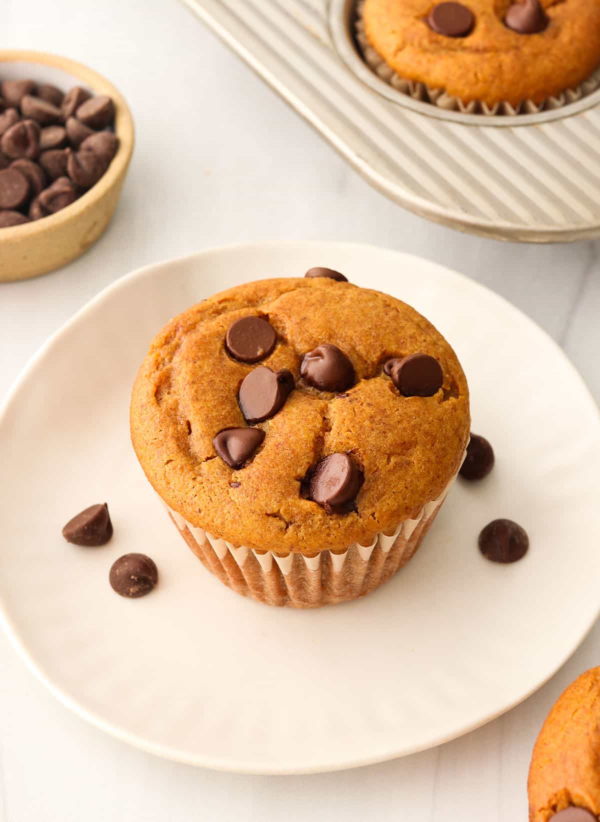 paleo muffin topped with chocolate chips on a white plate.