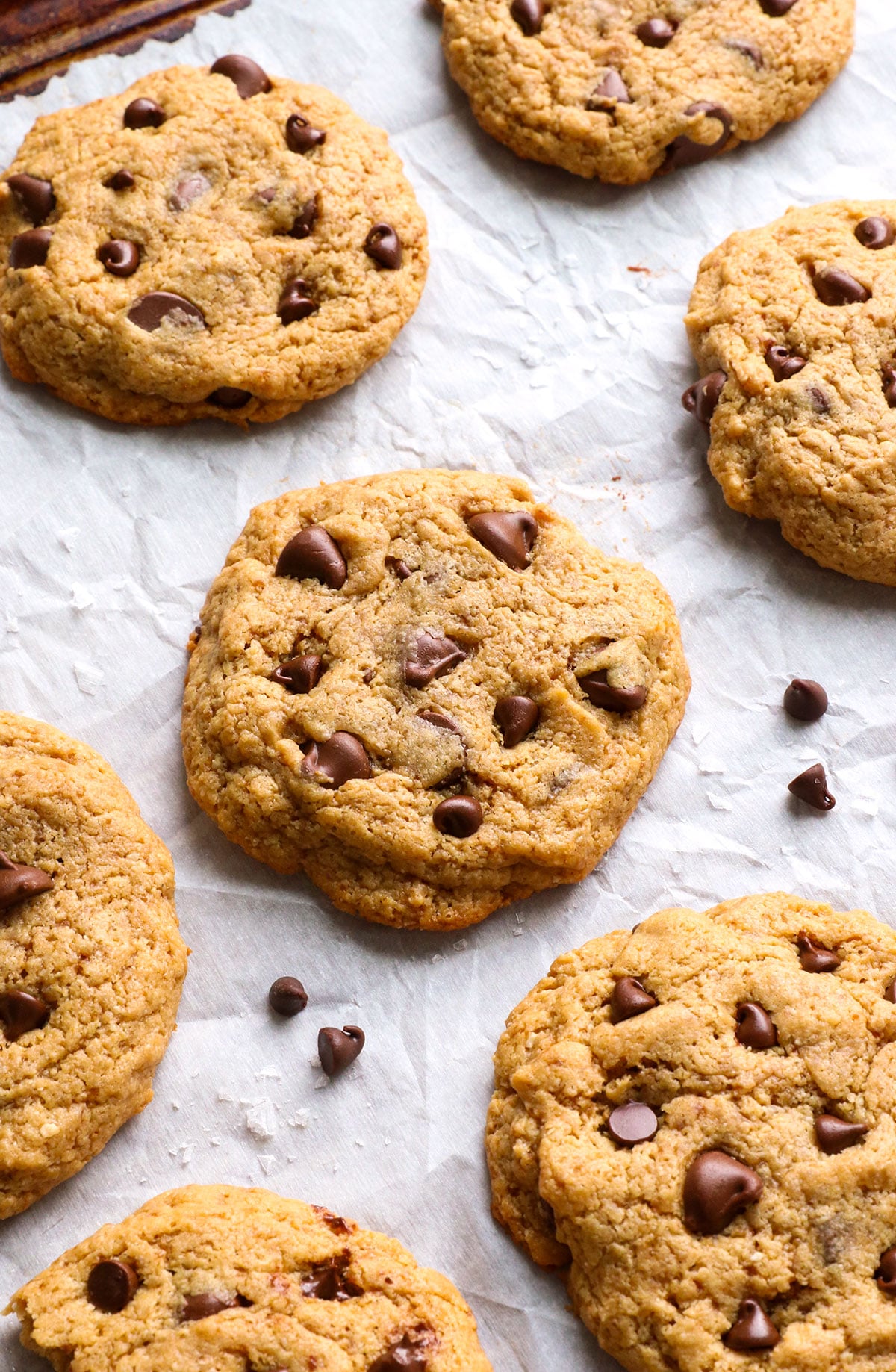 cashew butter cookie closeup on the pan with chocolate chips. 