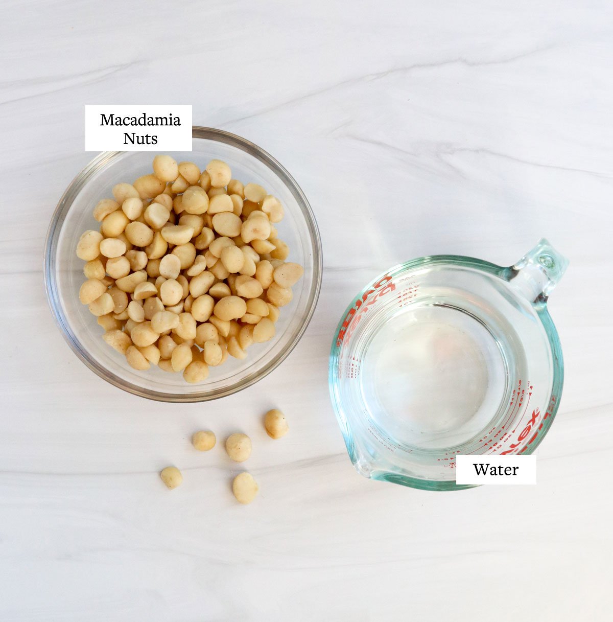 macadamia nut milk ingredients in glass bowls
