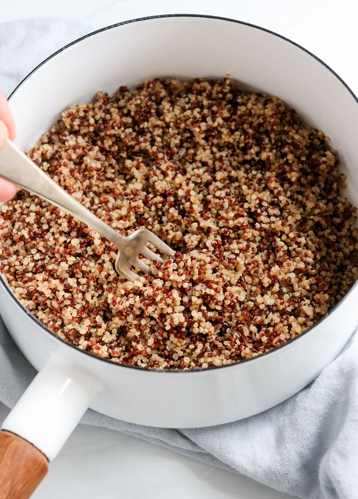 cooked tricolor quinoa fluffed in a white pot.