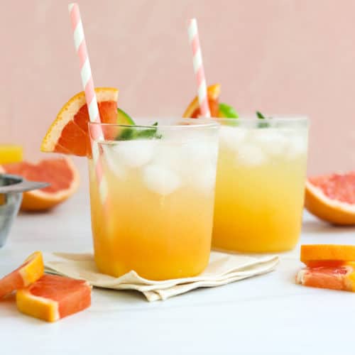 https://detoxinista.com/wp-content/uploads/2022/06/mocktail-recipe-500x500.jpg