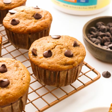 protein muffins on a cooling rack with chocolate chips.
