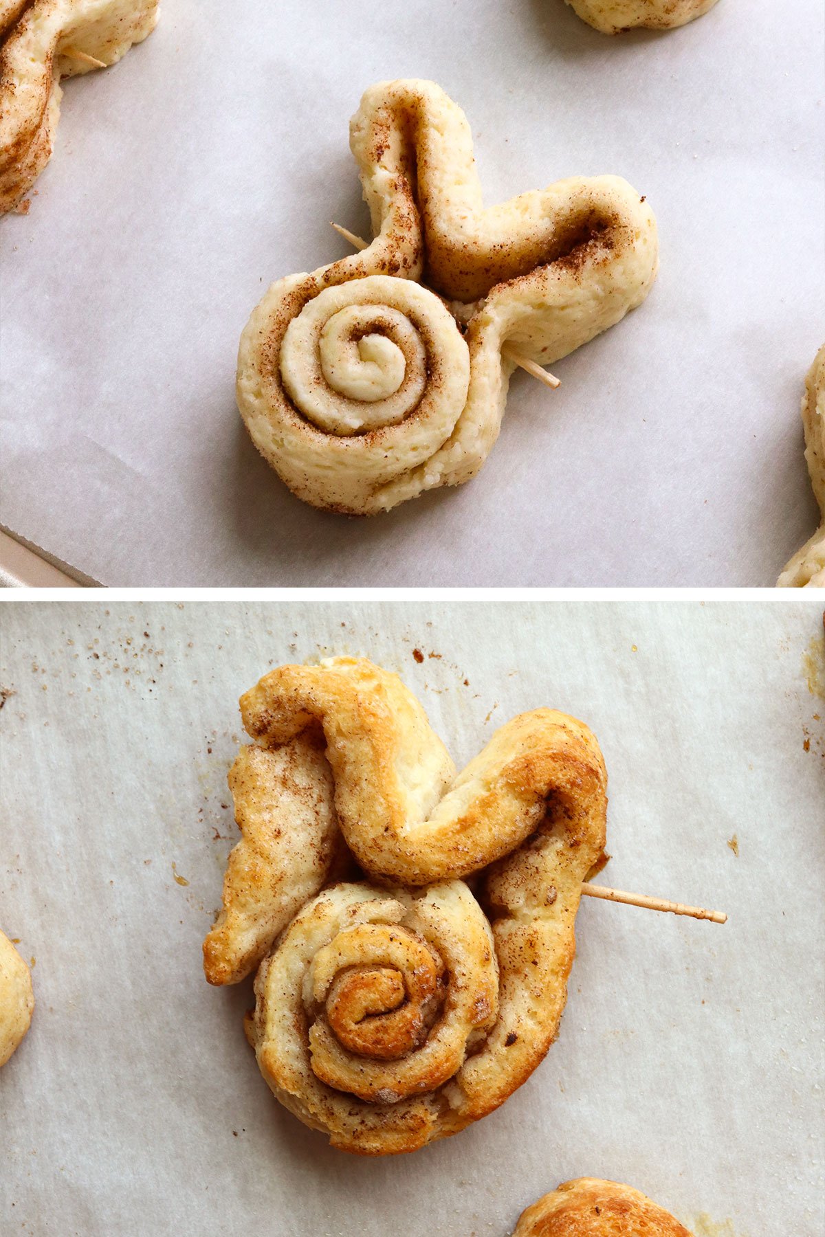 bunny cinnamon rolls on a baking sheet with toothpick to hold them together.