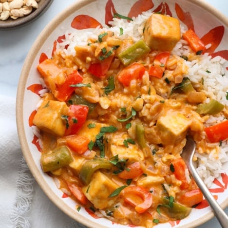 homemade panang curry served with white rice.