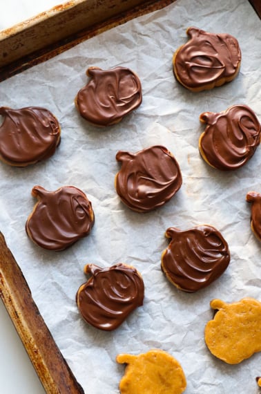 chocolate covered peanut butter pumpkins on a baking sheet.