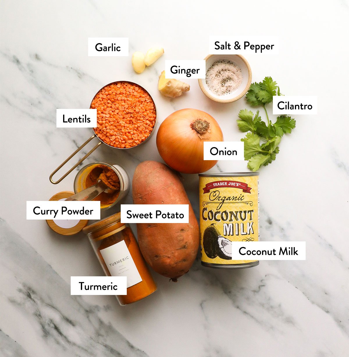 onion, lentils, coconut milk, and spices labeled on a white surface. 