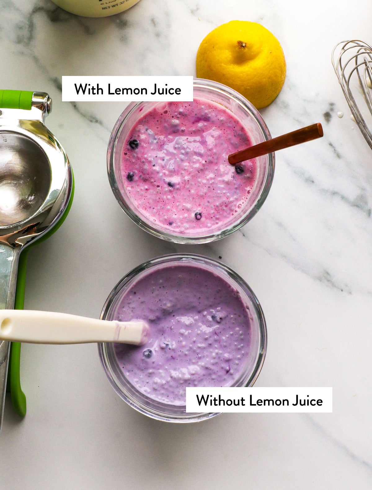 blueberry chia pudding with and without lemon juice added.
