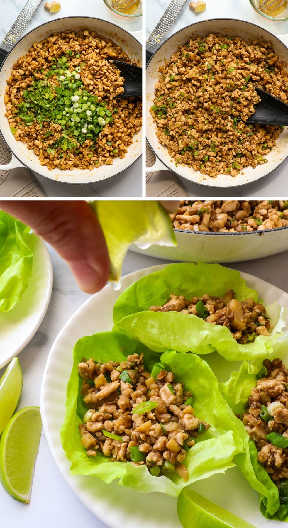 ground turkey filling with green onion for lettuce wraps.